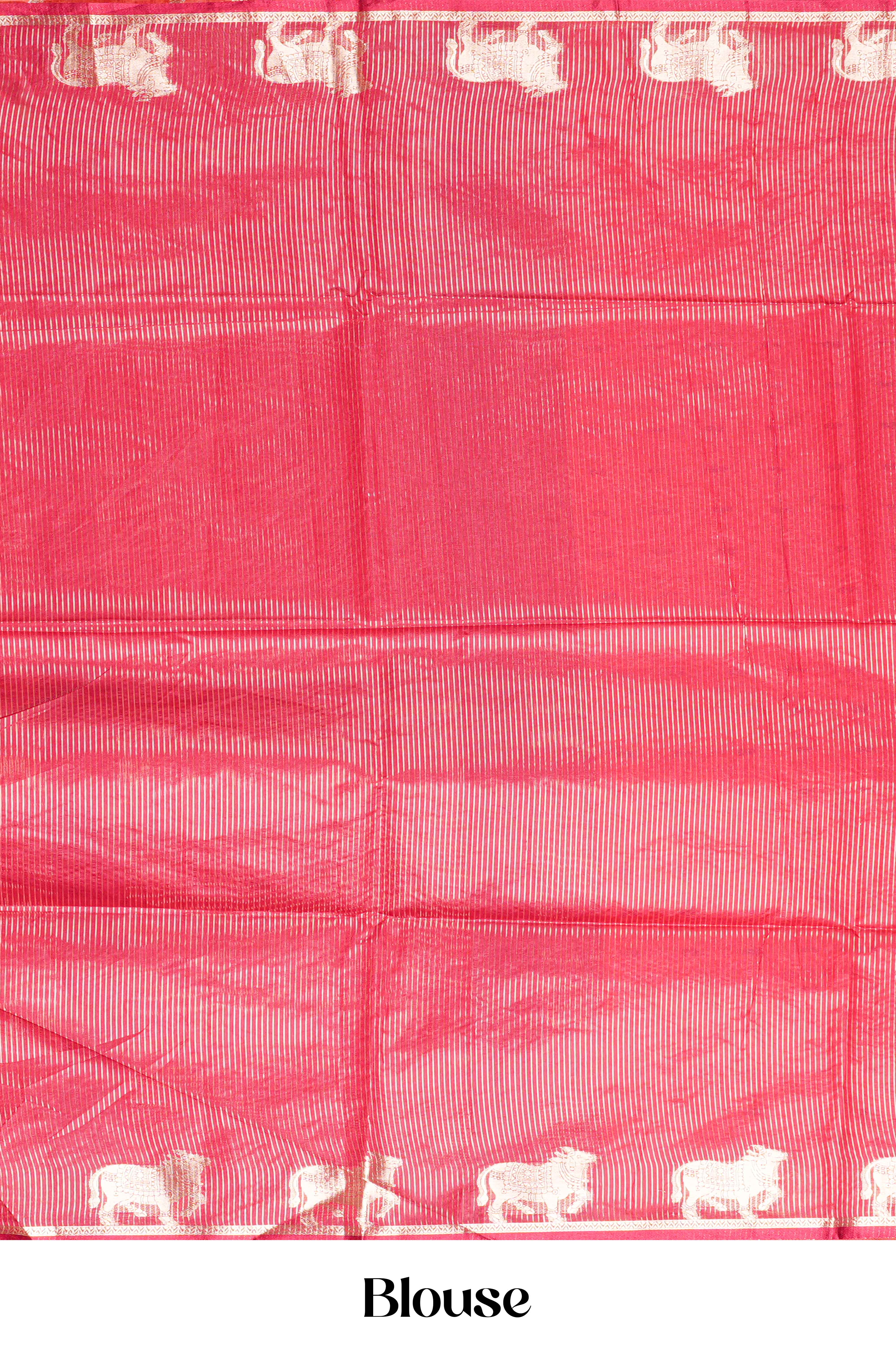 Zari pallu shine