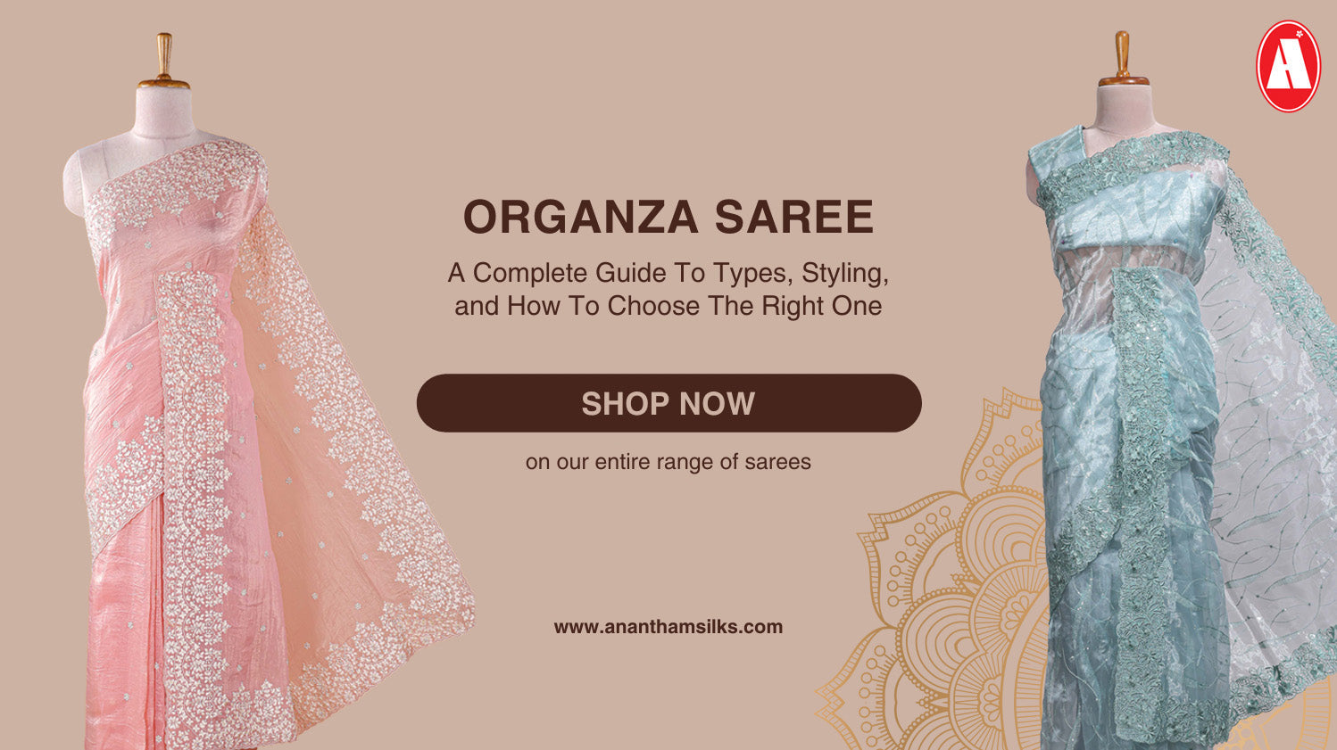 Organza Saree: A Complete Guide to Types, Styling, and How to Choose the Right One