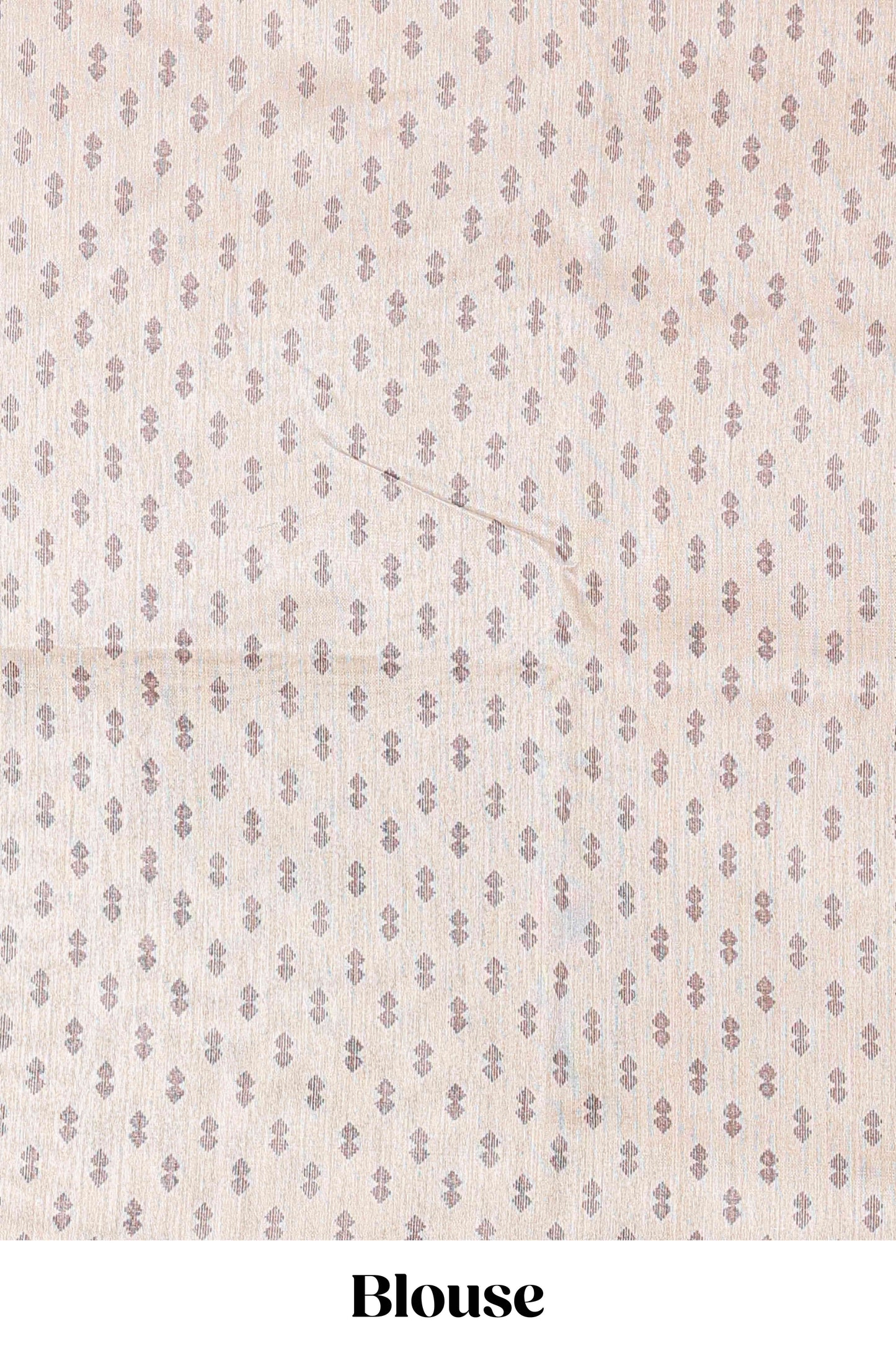 Multi color chanderi Cotton Saree with Mughal Paisley Print and Medallion Pallu