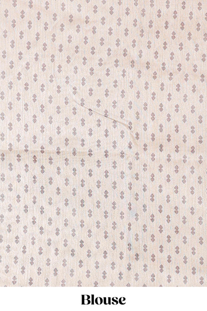 Multi color chanderi Cotton Saree with Mughal Paisley Print and Medallion Pallu