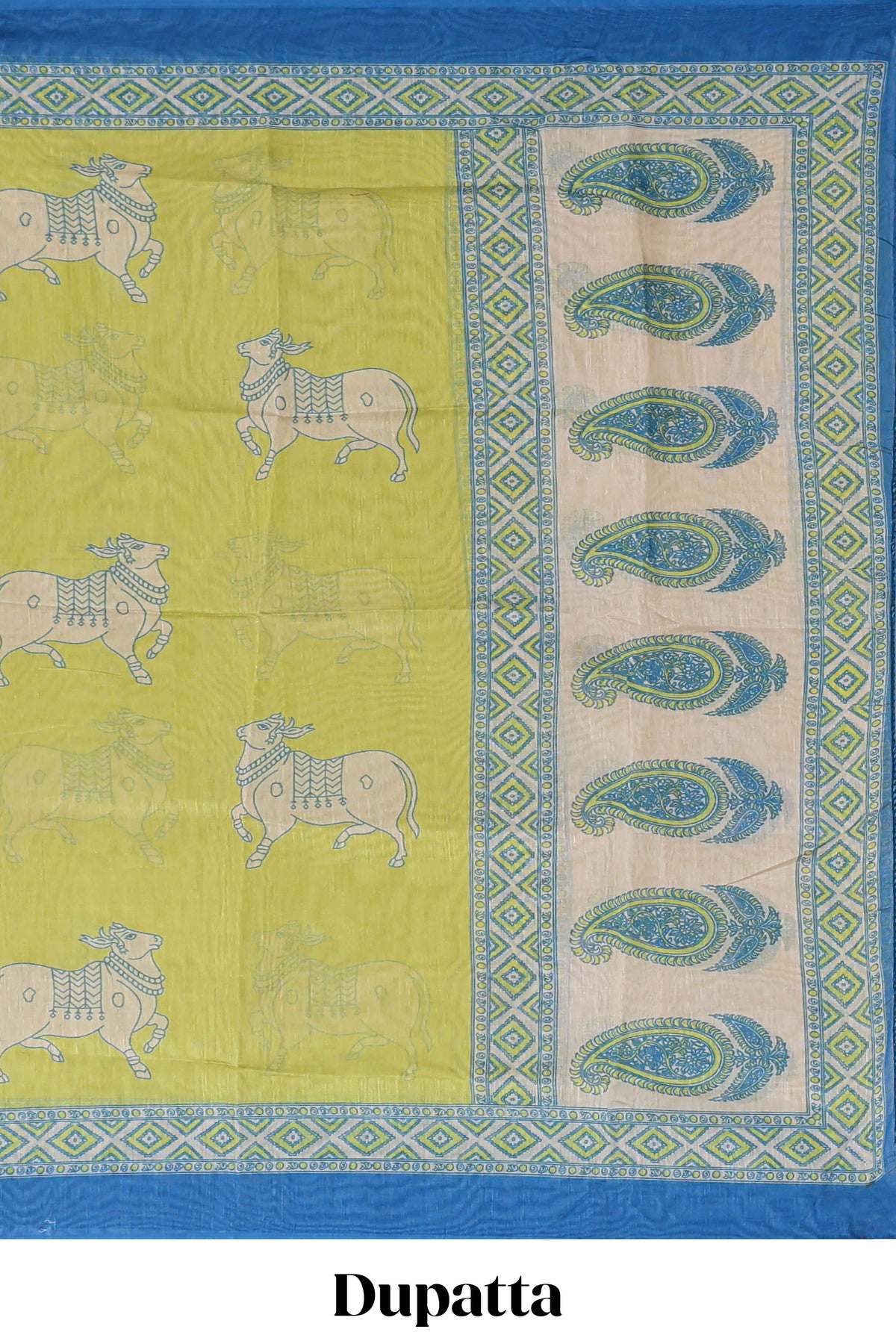 Blue embroidery chudidhar material with contrast solid pant and floral dupatta