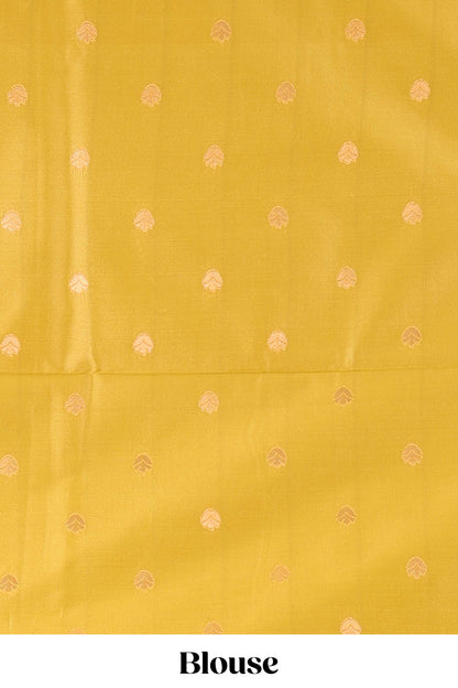 Borderless multicolor semi-soft silk saree features a pochampally print and a grand, rich pallu