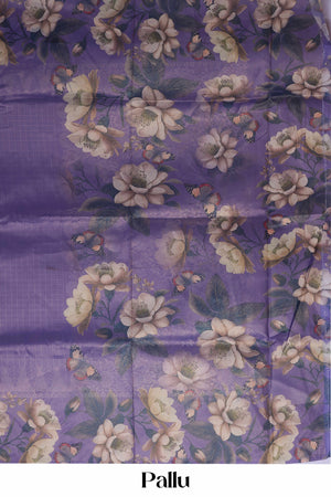 Banaras Silk