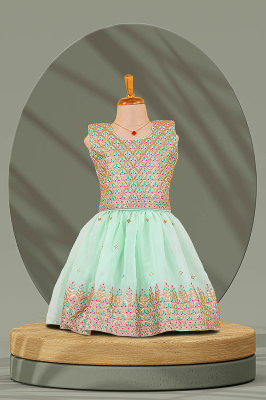 Choli Lehenga