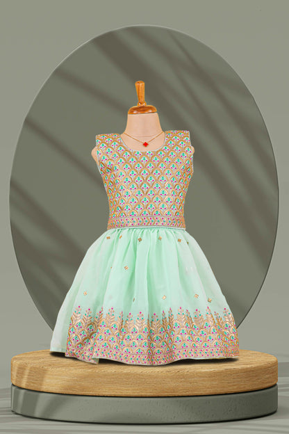 Choli Lehenga