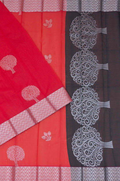Silk Cotton