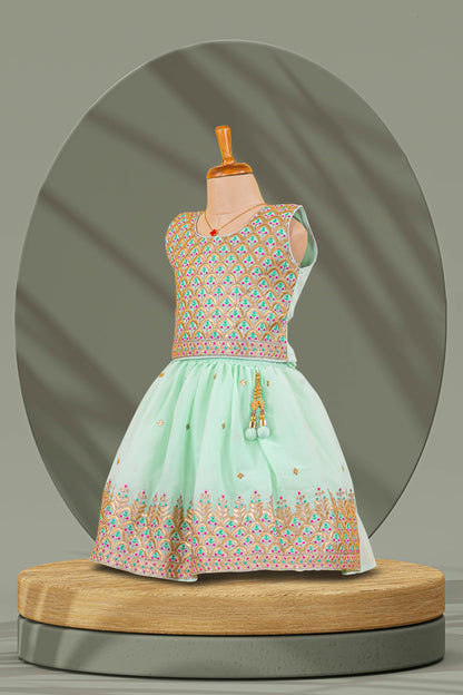Choli Lehenga