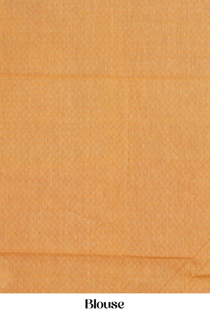 Chirala Cotton