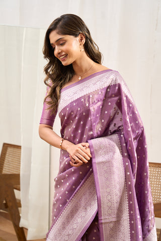 Mushru Silk Image 3
