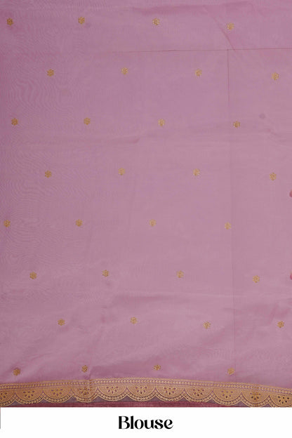 Organza Sarees