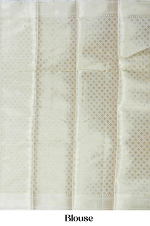 Tissue Sarees