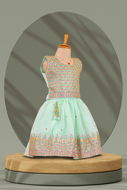 Choli Lehenga