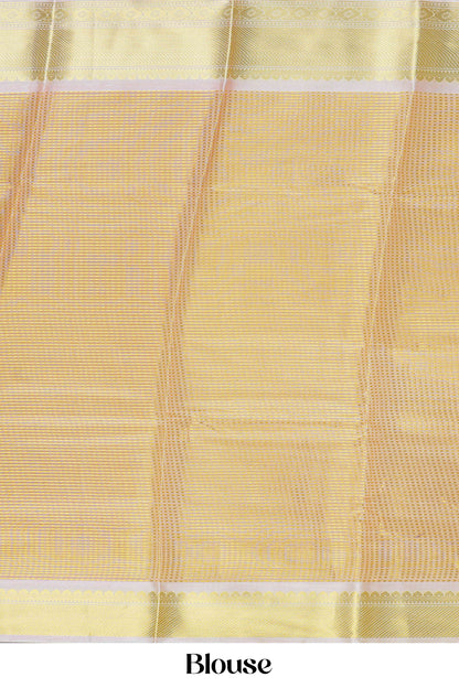 Tissue Sarees