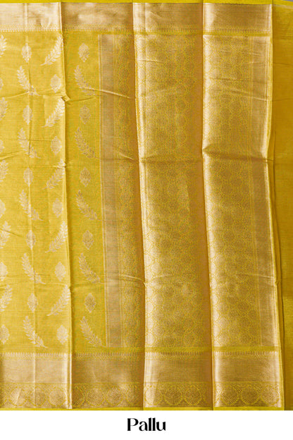 Tissue Sarees