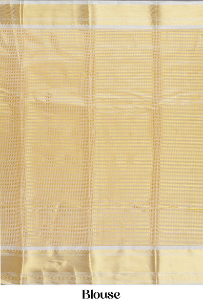 Tissue Sarees
