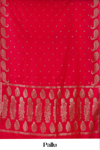 Raw Mango Image 5