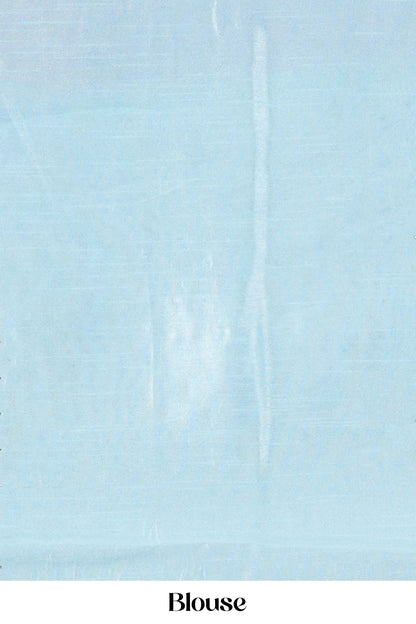 Organza Sarees