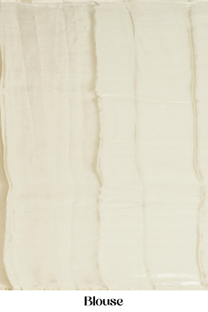 Organza Sarees