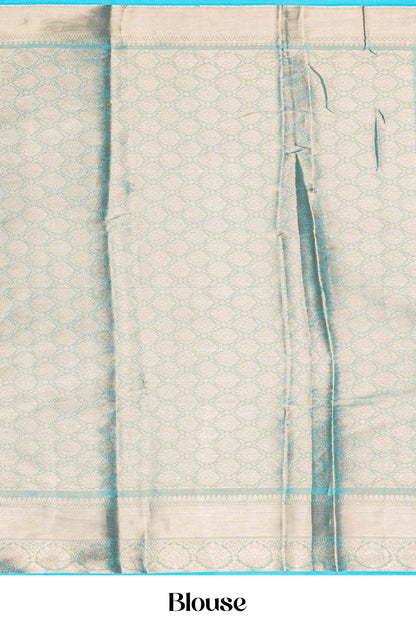 Tissue Sarees