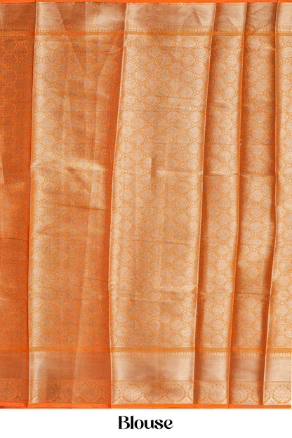 Tissue Sarees