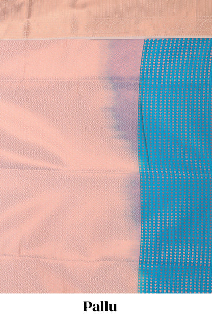 Blue checked vairaoosi semi soft silk saree with floral zari butta and contrast Pallu