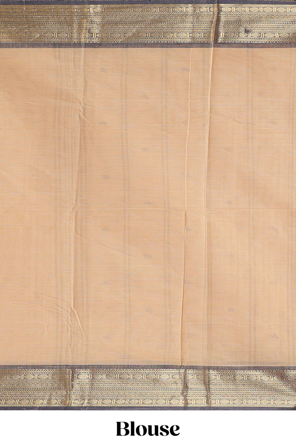 Beige motifs design chettinad cotton saree with contrast border and matching blouse
