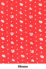Red striped elephant & bird zari butta dola silk saree with self zari border and matching zari motifs blouse