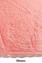 Coral pink saree with elegant silver sequin diamond embroidery featuring a shimmering border and pallu along with blouse