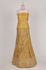 Sandle colour net lehenga featuring delicate embroidery with a borderless design paired with a matching self shawl