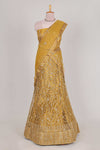 Sandle colour net lehenga featuring delicate embroidery with a borderless design paired with a matching self shawl