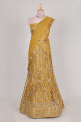 Sandle colour net lehenga featuring delicate embroidery with a borderless design paired with a matching self shawl