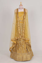 Sandle colour net lehenga featuring delicate embroidery with a borderless design paired with a matching self shawl