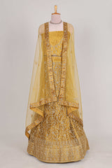 Sandle colour net lehenga featuring delicate embroidery with a borderless design paired with a matching self shawl