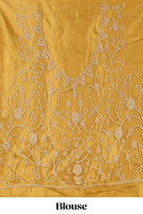 Sandle colour net lehenga featuring delicate embroidery with a borderless design paired with a matching self shawl