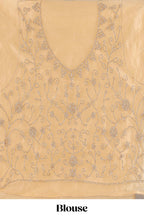 Cream colour net lehenga featuring delicate embroidery with a borderless design paired with a matching self shawl