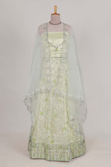 powder green net lehenga featuring delicate embroidery with a borderless design paired with a matching self shawl