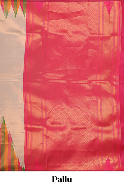 Beige plain litchi silk saree with contrast multi color ikkat style border and blouse