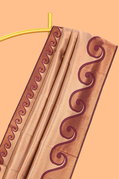 Beige chevron zari design litchi silk saree with contrast swirl shape zari border and blouse
