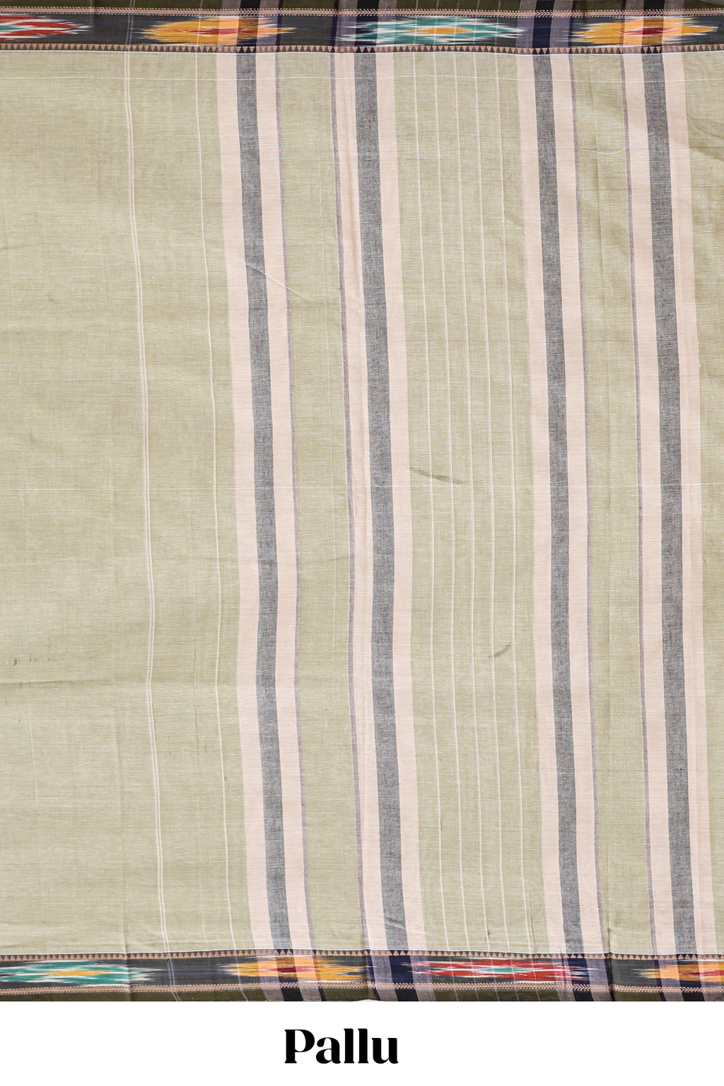 Beige plain narayanapet cotton saree with contrast ikkat style border and matching blouse