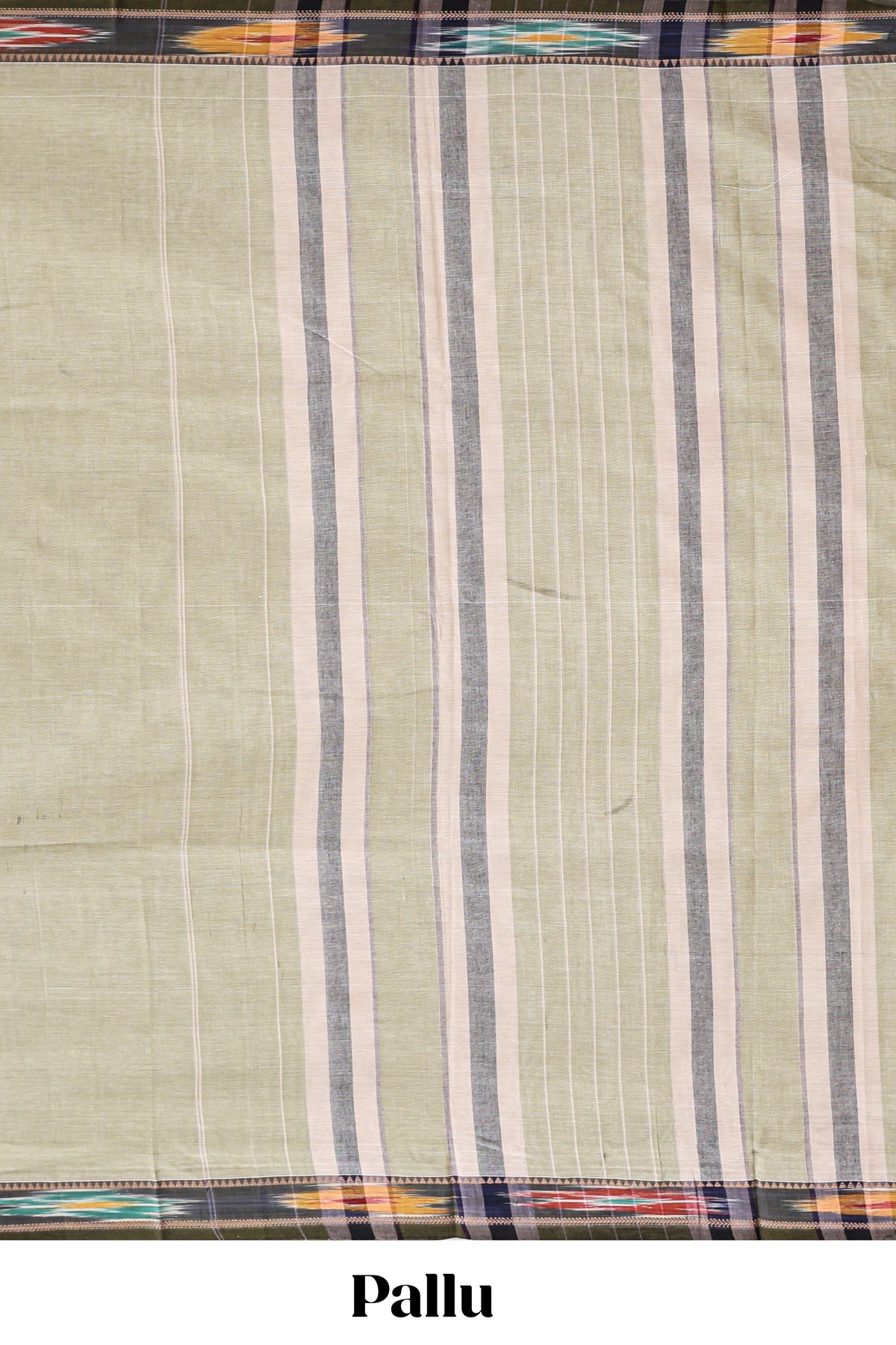 Beige plain narayanapet cotton saree with contrast ikkat style border and matching blouse