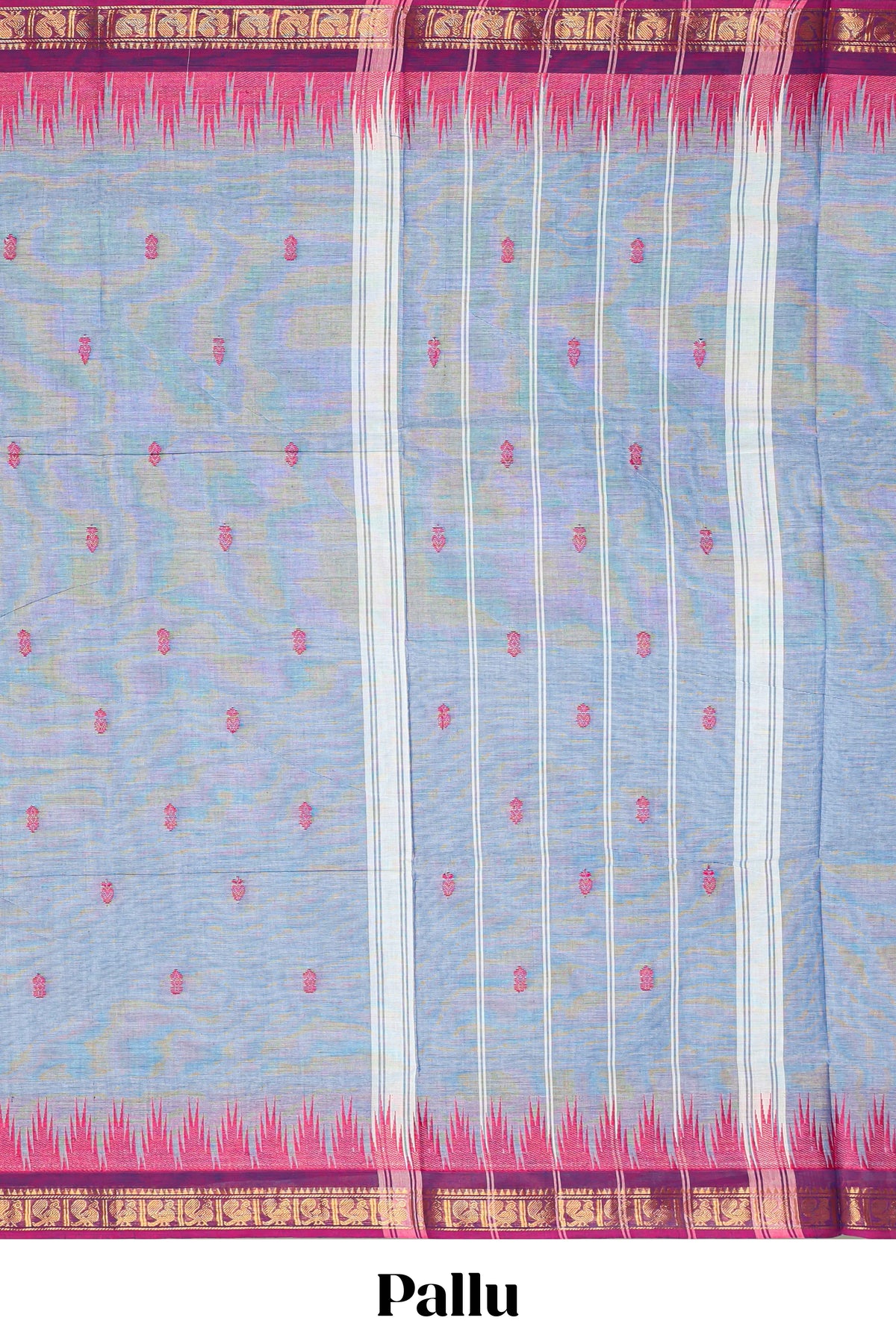 Light blue Butta designed narayanapet cotton saree with contrast zari border and matching blouse