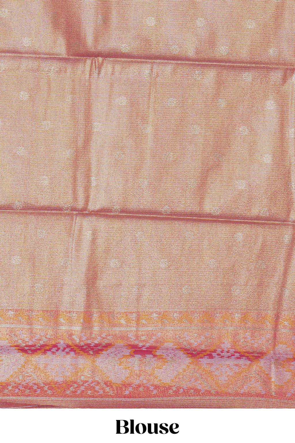 Gold floral design tissue saree with contrast zari border and motifs blouse