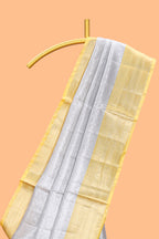 Silver zari motifs art tissue saree with gold contrast border and blouse