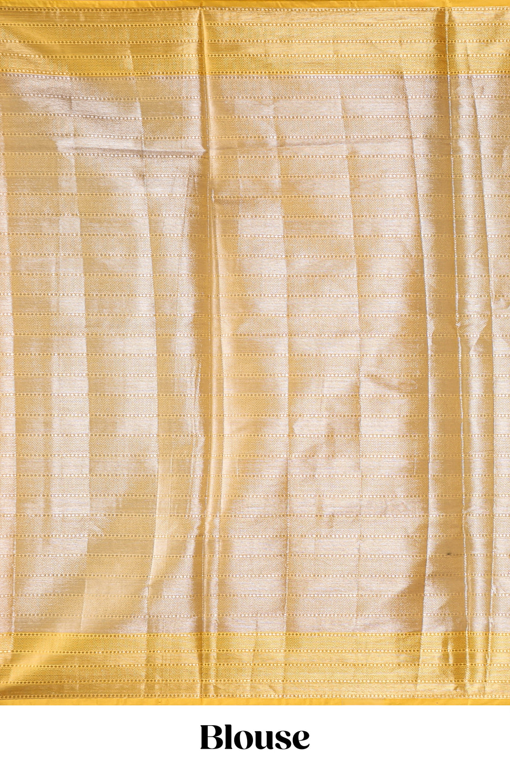 Silver zari motifs art tissue saree with gold contrast border and blouse
