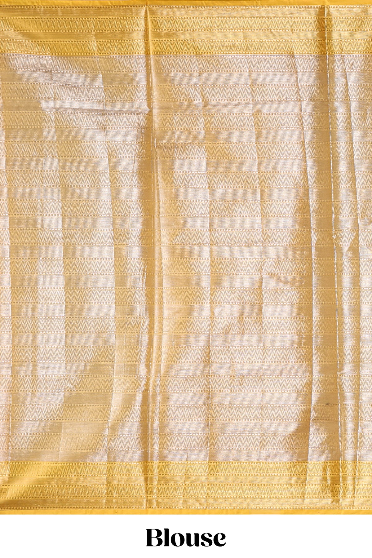 Silver zari motifs art tissue saree with gold contrast border and blouse