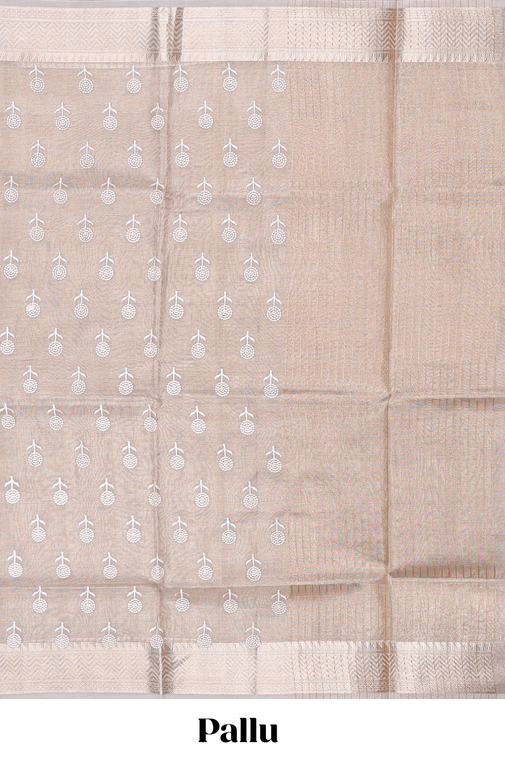 Beige floral butta art tissue saree with with self zari border and plain blouse