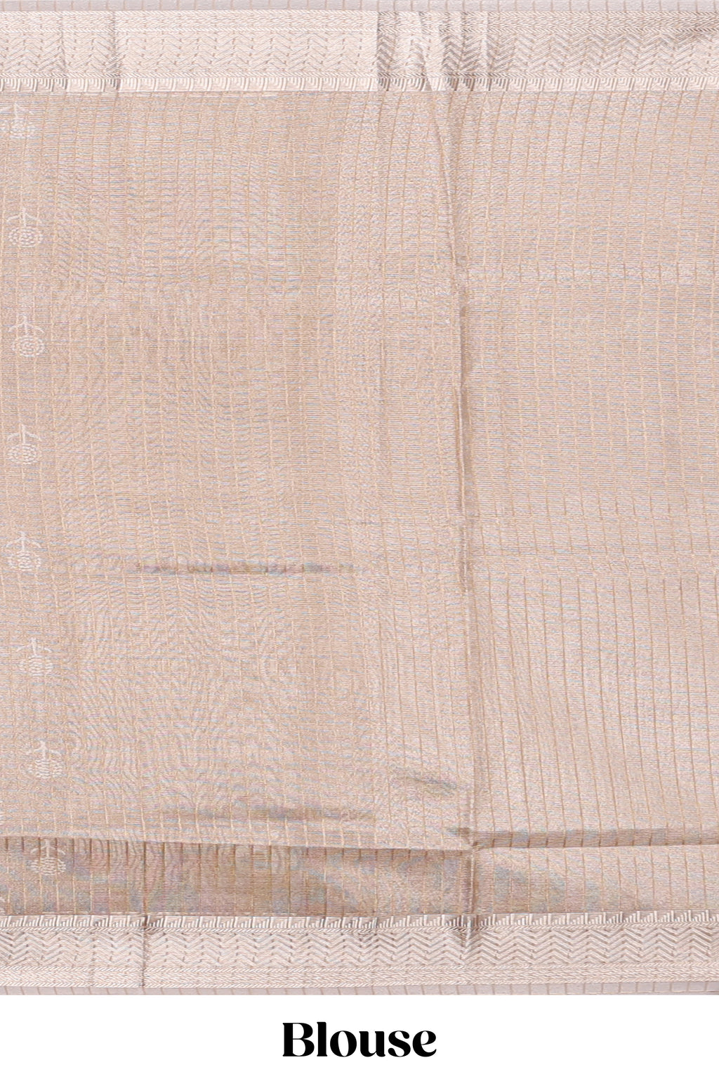 Beige floral butta art tissue saree with with self zari border and plain blouse