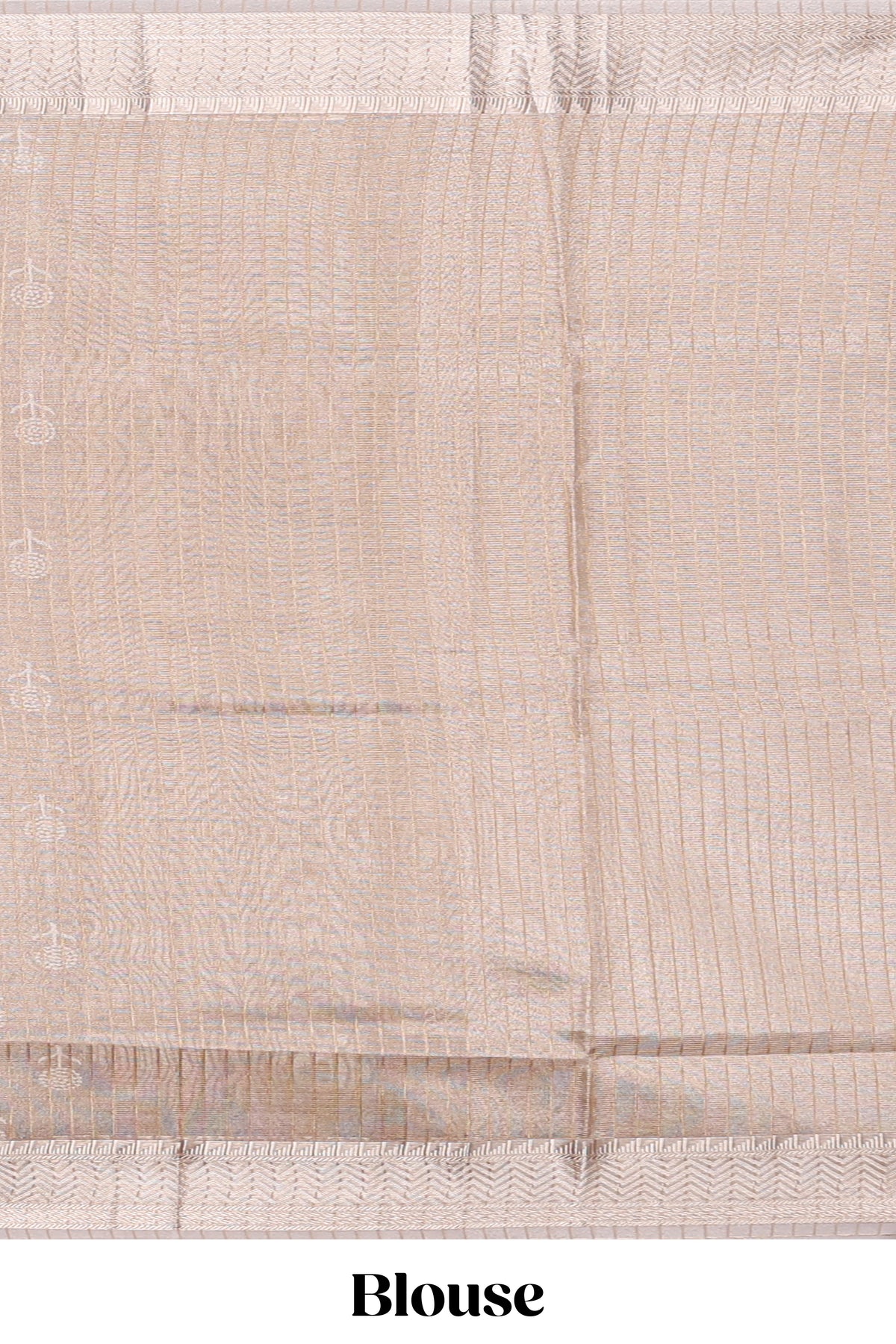 Beige floral butta art tissue saree with with self zari border and plain blouse