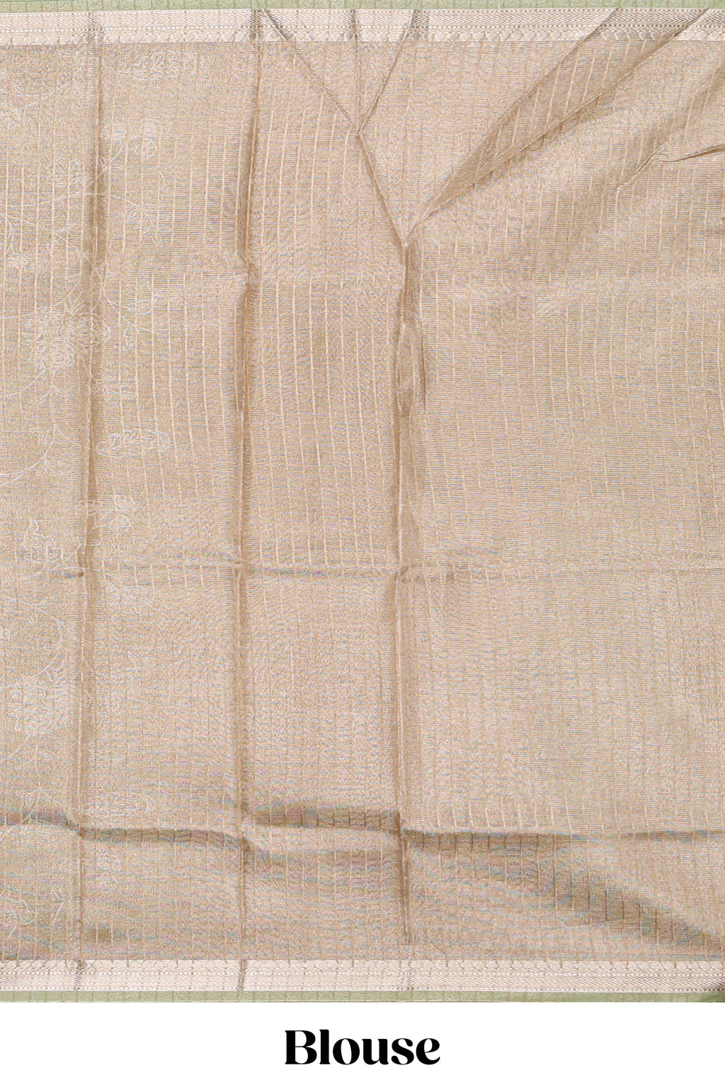 Pale green floral design art tissue saree with self zari border and plain blouse