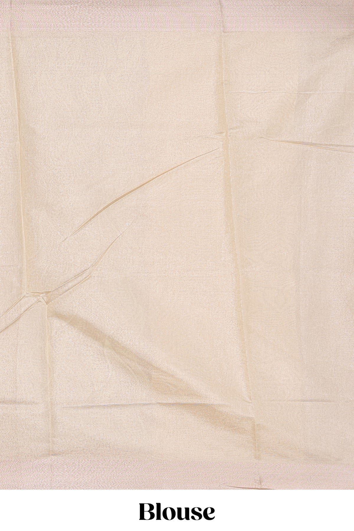 Ivory leaf patterned zari design art tissue saree with zari border and plain blouse